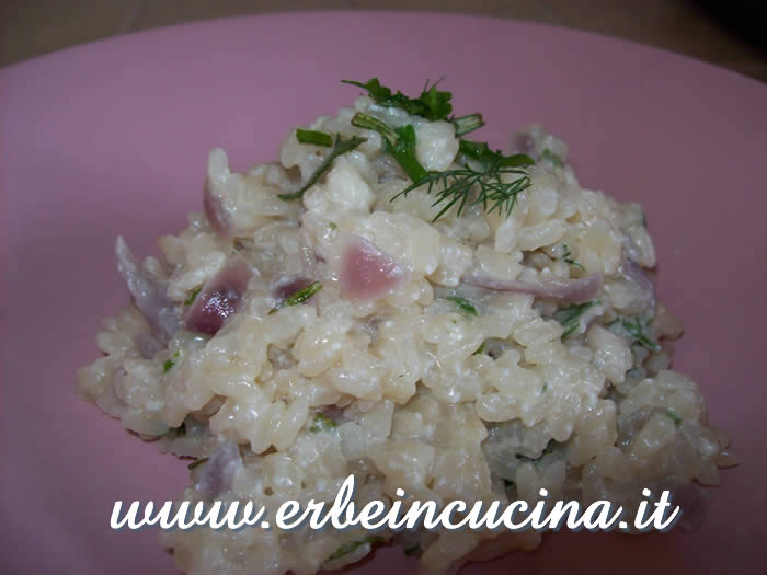 Risotto aromatico