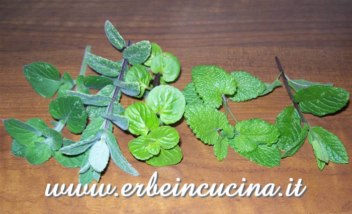 Mint, balm, calaming