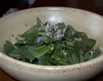 Insalata di portulaca e origano