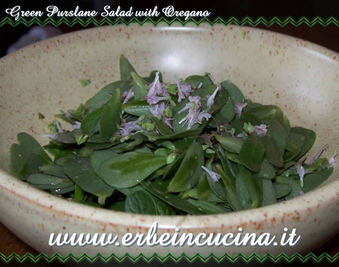 Green purslane salad