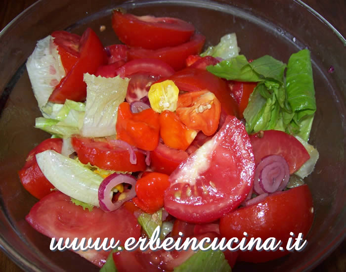 Aji chilies and tomatoes salad