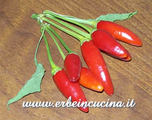 Peperoncino