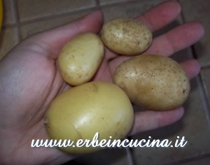 Potato harvest