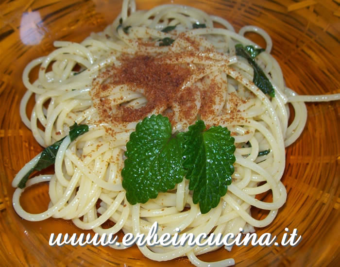 Pasta alla bottarga e melissa