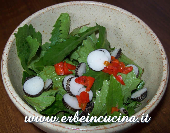 Dandelion salad with winter radishes