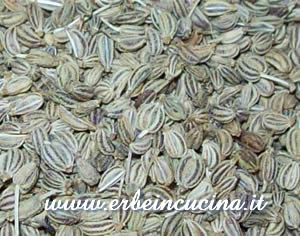 Ajwain