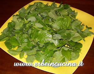 Mint leaves