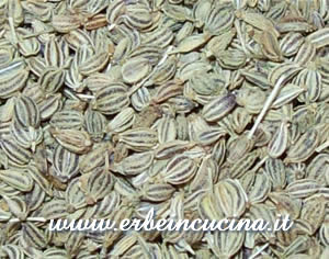 Semi di Ajwain