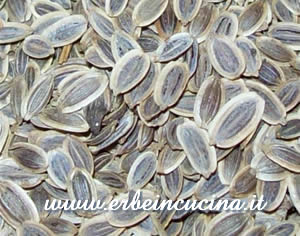 Dill seeds