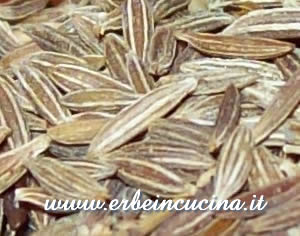Cumin
