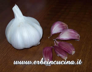 Garlic head