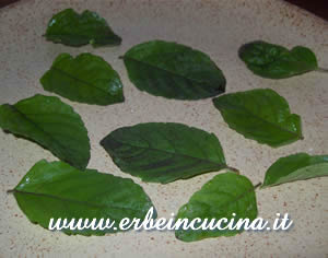 Holy Basil