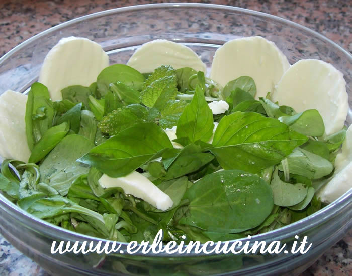 Insalata di valerianella e basilico thai