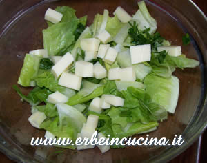 Cilantro salad