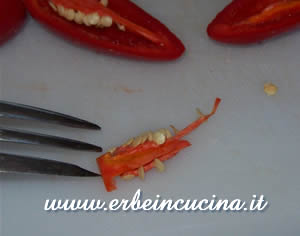 Semi e placenta di peperoncino