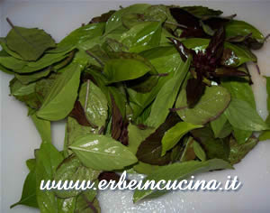 Basil