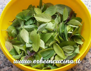 Basil