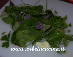 Aromatic herbs