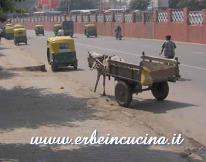 Delhi: Tuktuk