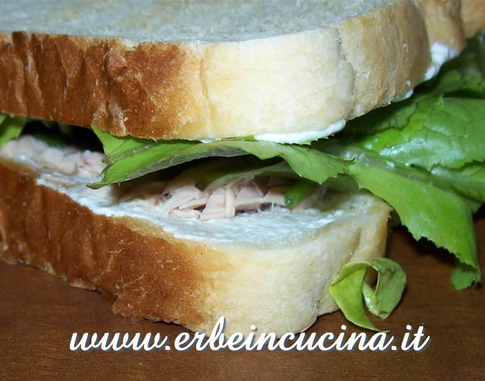 Sandwiches al tonno, nigella e basilico thai