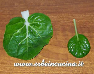 Tatsoi e Pak Choi