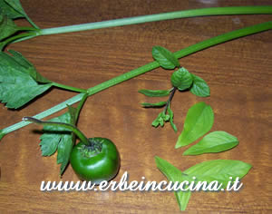 Sedano menta peperoncino e basilico