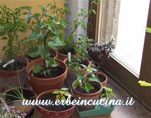 Indoor