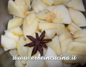 Apples and star anise