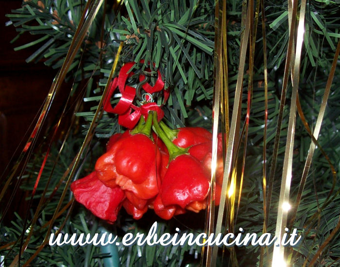 Christmas Rocotillo Decoration