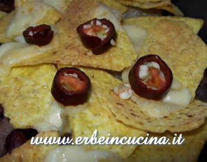 Nachos with Pasilla Bajio