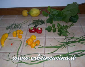Harvest