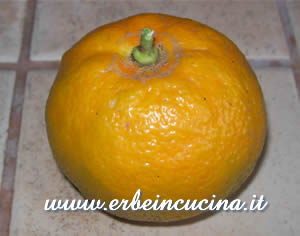 Bitter orange