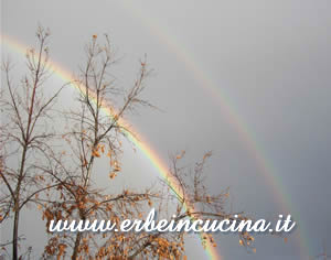 Arcobaleno