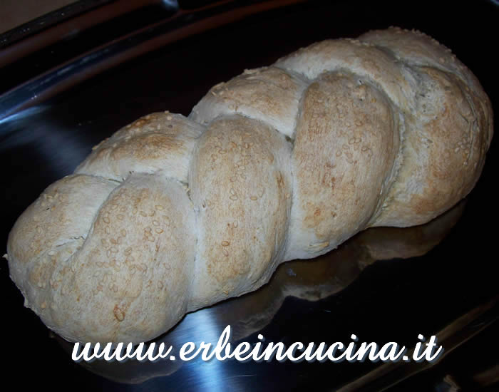 Pane treccia allo zenzero e rosmarino