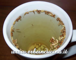 Seeds herbal tea