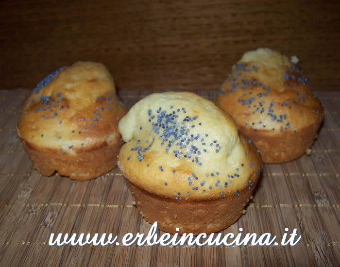 Muffin al limone e semi di papavero