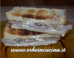 Turkey sandwich with wild thyme and gorgonzola