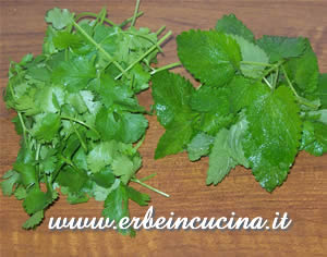 Coriander and balm