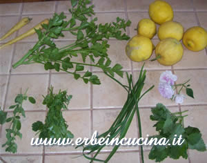 Carote, limoni, erbe aromatiche