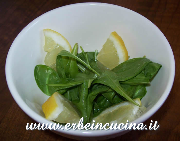 Insalata di cicoria zuccherina