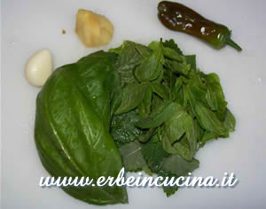 Erbe e spezie