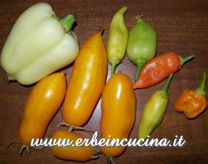 Chilies and tomatoes