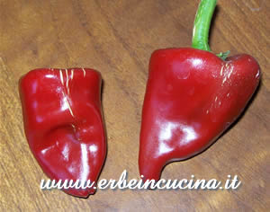 Pimento Piquillo