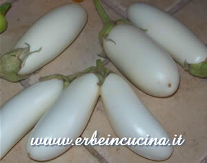 White aubergines