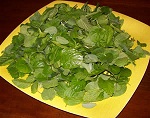Erbe in cucina in estate