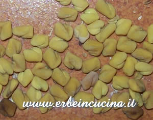 Semi di Fieno Greco