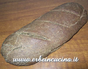 Pane al pesto