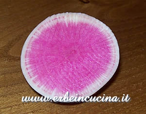 Radish Watermelon