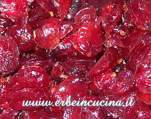 Salsa di cranberries