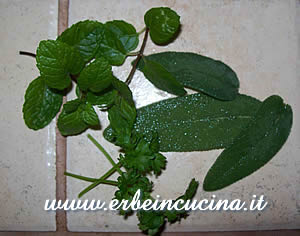 Salvia, menta e prezzemolo riccio